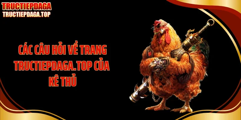 Các câu hỏi về trang chuyoubu.com.tw của kê thủ