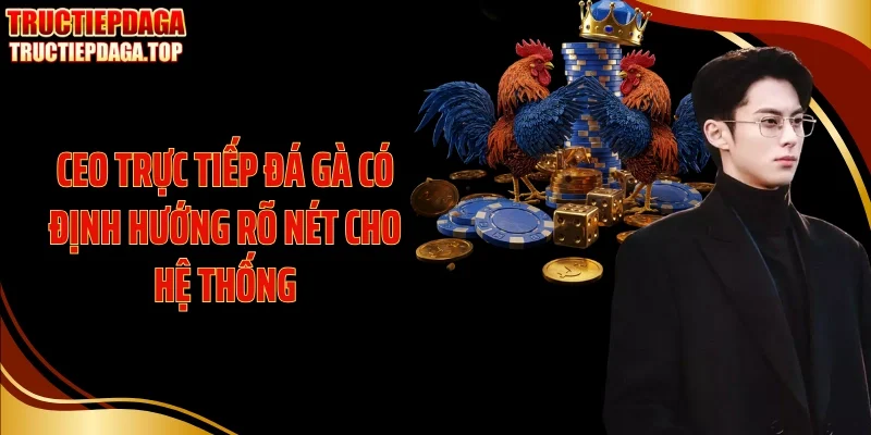 ceo truc tiep da ga co dinh huong ro net cho he thong CEO Trực tiếp đá gà có định hướng rõ nét cho hệ thống
