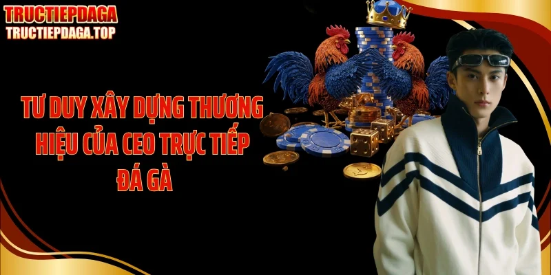 tu duy xay dung thuong hieu cua ceo truc tiep da ga Tư duy xây dựng thương hiệu của CEO Trực tiếp đá gà
