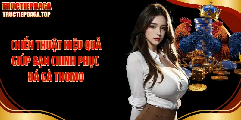 chien thuat hieu qua giup ban chinh phuc da ga thomo Chiến thuật hiệu quả giúp bạn chinh phục đá gà Thomo
